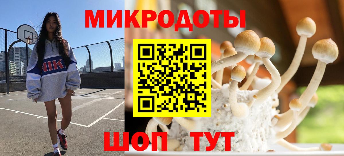 Псилоцибиновые грибы мухоморы Зерноград
